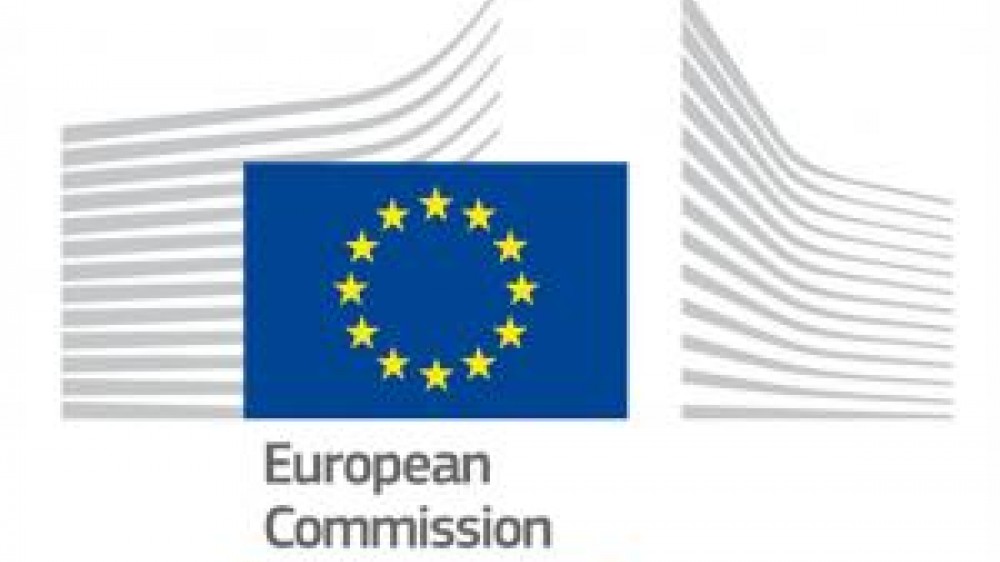 The European Commission flag logo