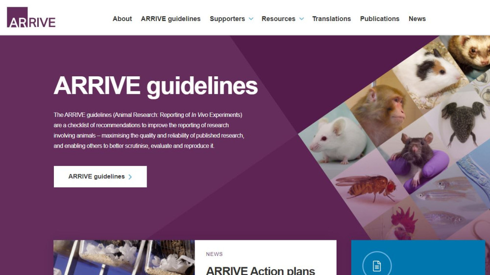 ARRIVE website screenshot 2023