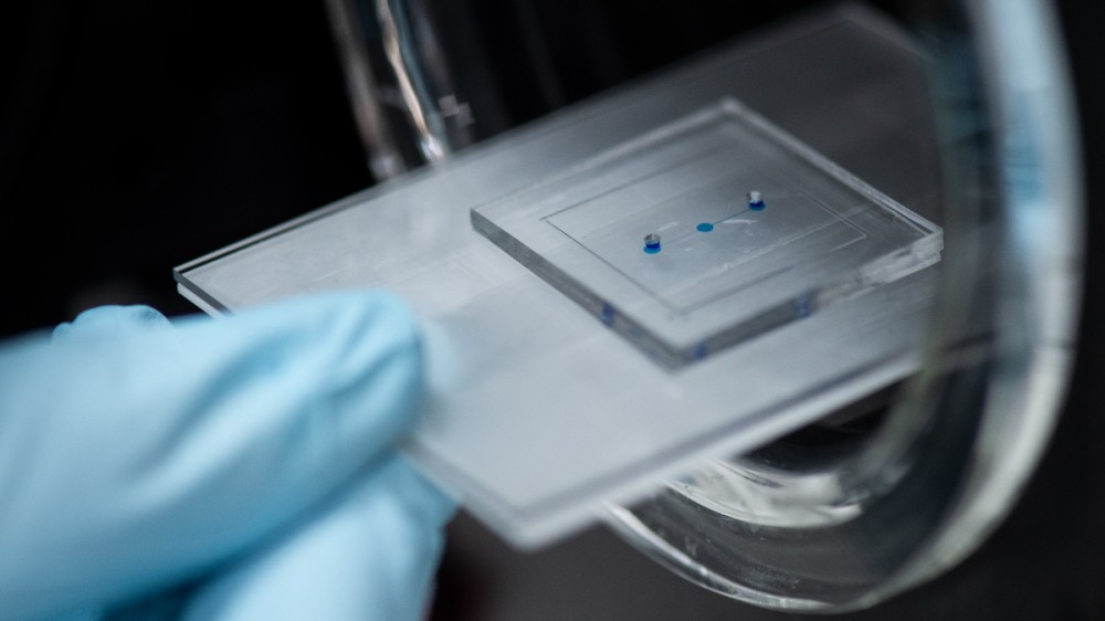 An organ-on-a-chip device being placed into the chamber of a machine