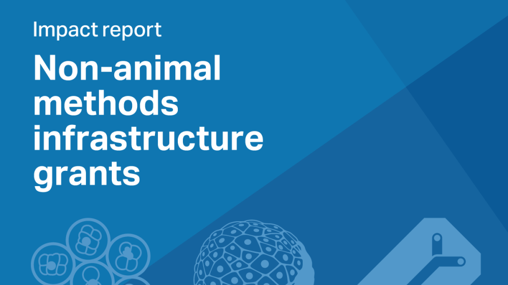 Impact report: Non-animal methods infrastructure grants