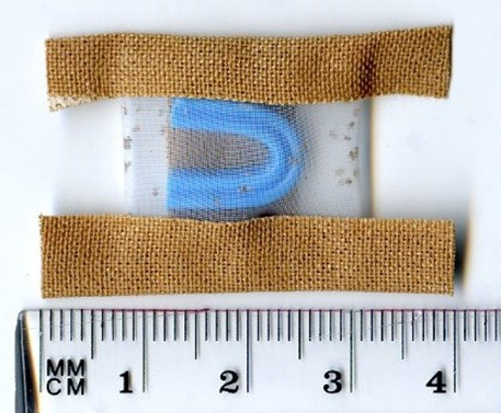 A mesh bag measuring 4cm containing poultry red mite.