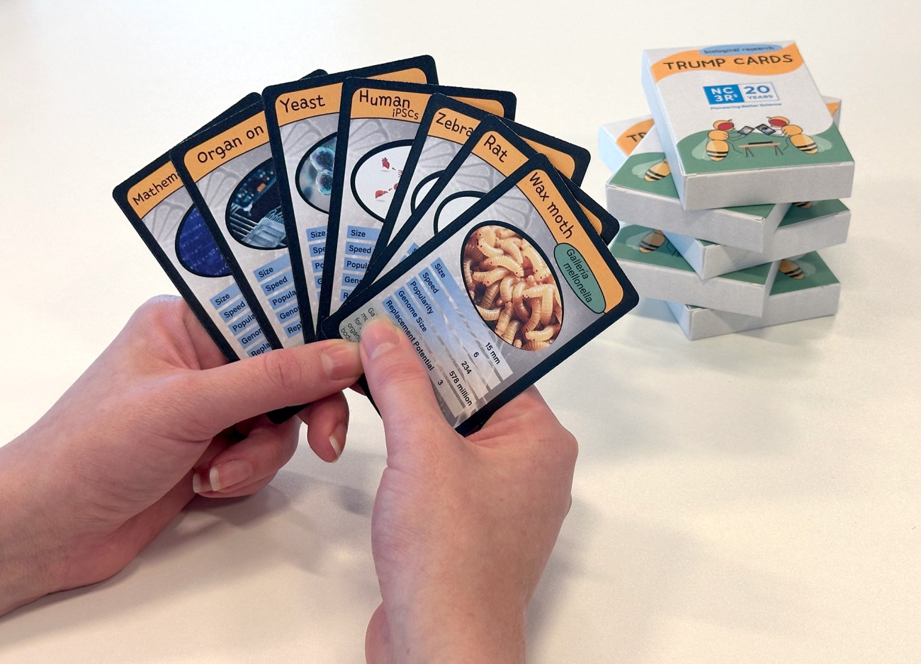 Biological models trump cards for public engagement activities.