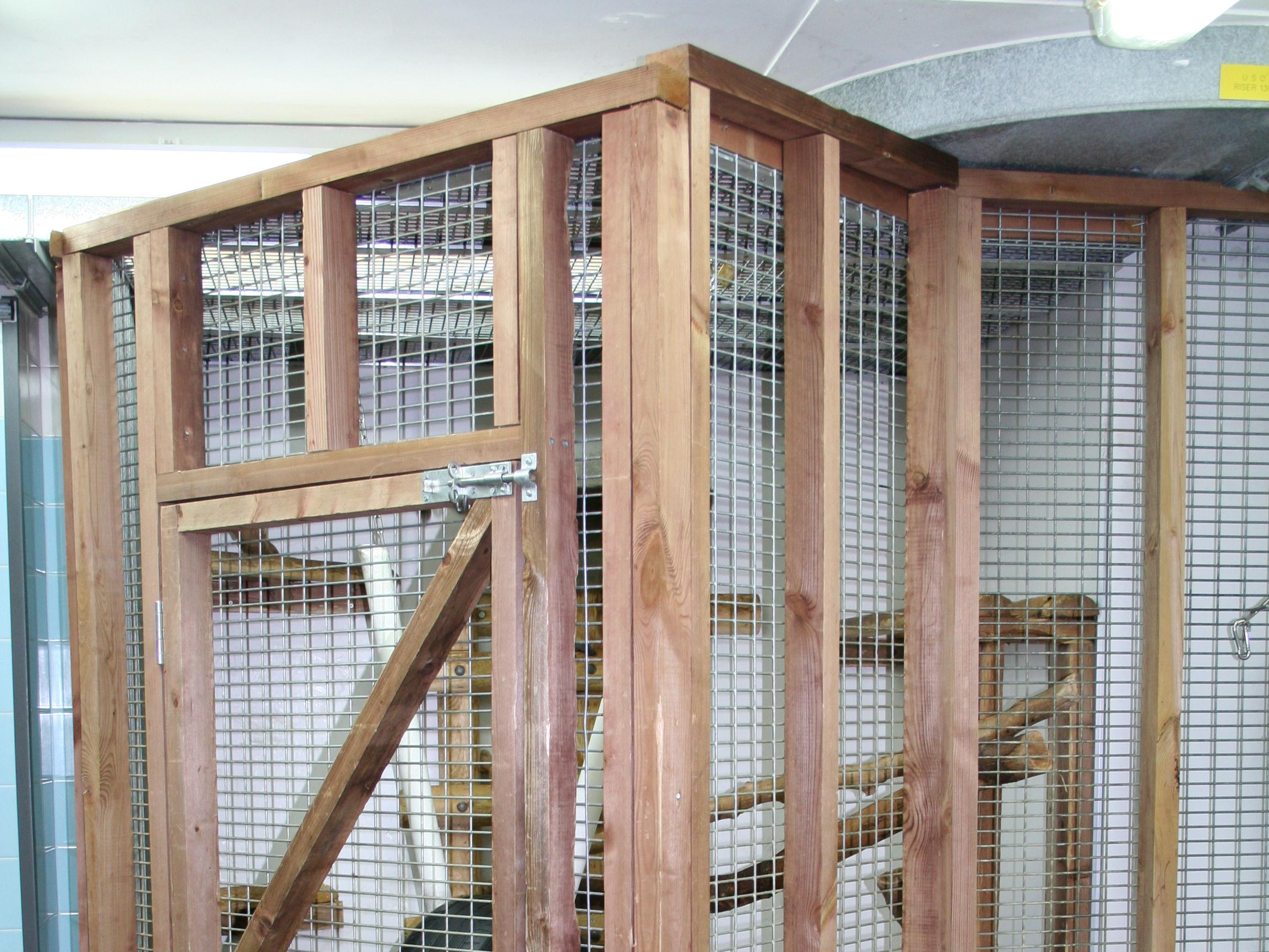 Example of an exercise play area to compliment conventional caging structures. There is sawdust on the floor, planks of wood for te macaques to perch and climb, and rubber tyres for macaques to sit and swing in.