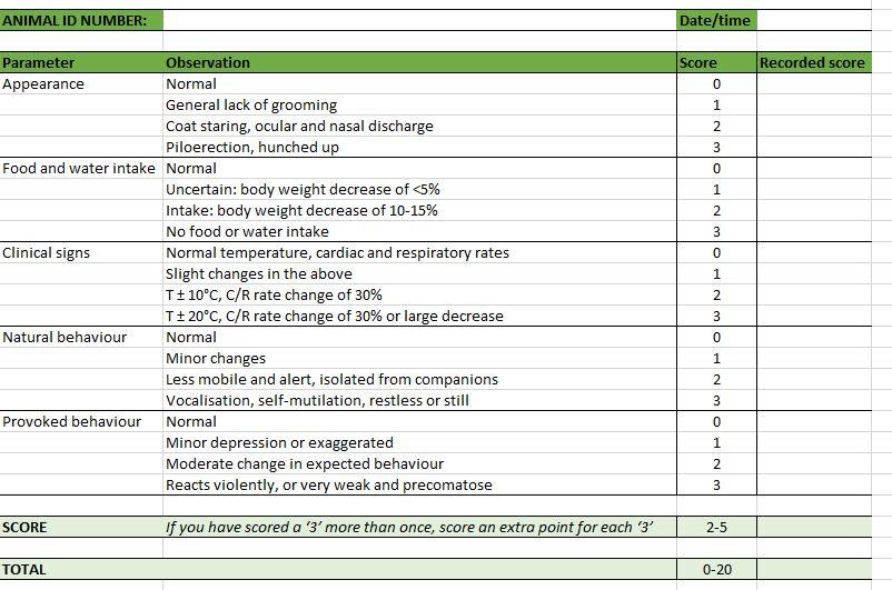 Screenshot of the general welfare assessment spreadsheet available to download