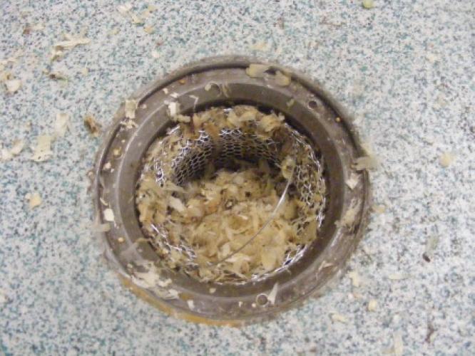 Example of a drain basket that has caught substrate to avoid blocking drains