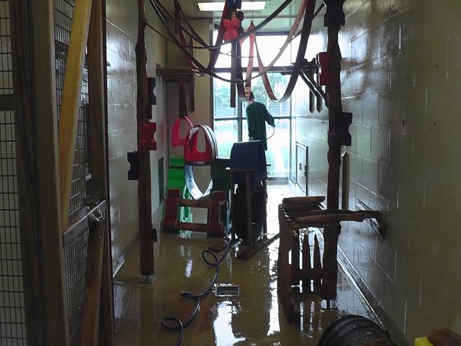 An empty indoor room being cleaned. Macaques should be removed from the enclosure before wet cleaning with hoses.