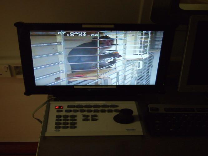 A monkey being observed via CCTV system