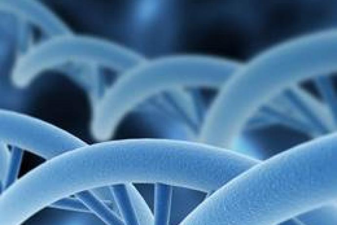 Decorative image of DNA