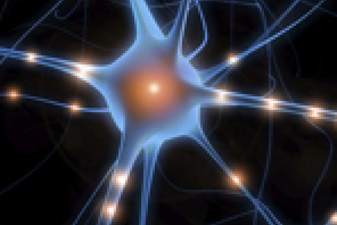Decorative image of a neuron