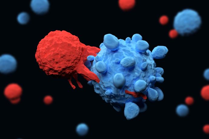 Image of T-Cell attacking a cancer cell