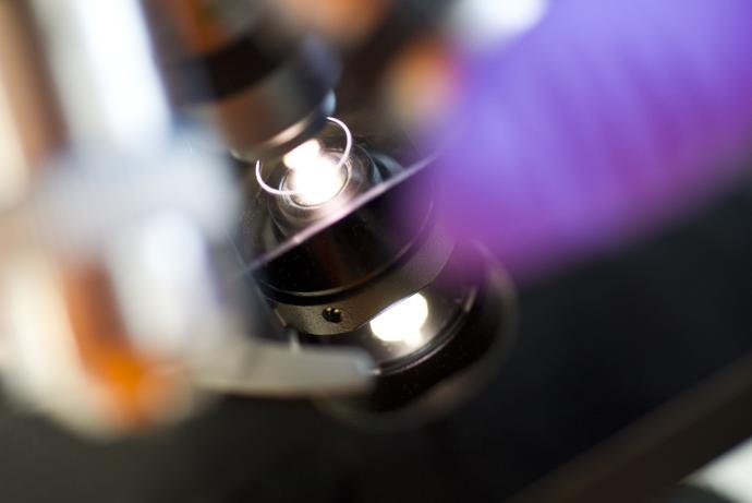 Decorative image of Microscope