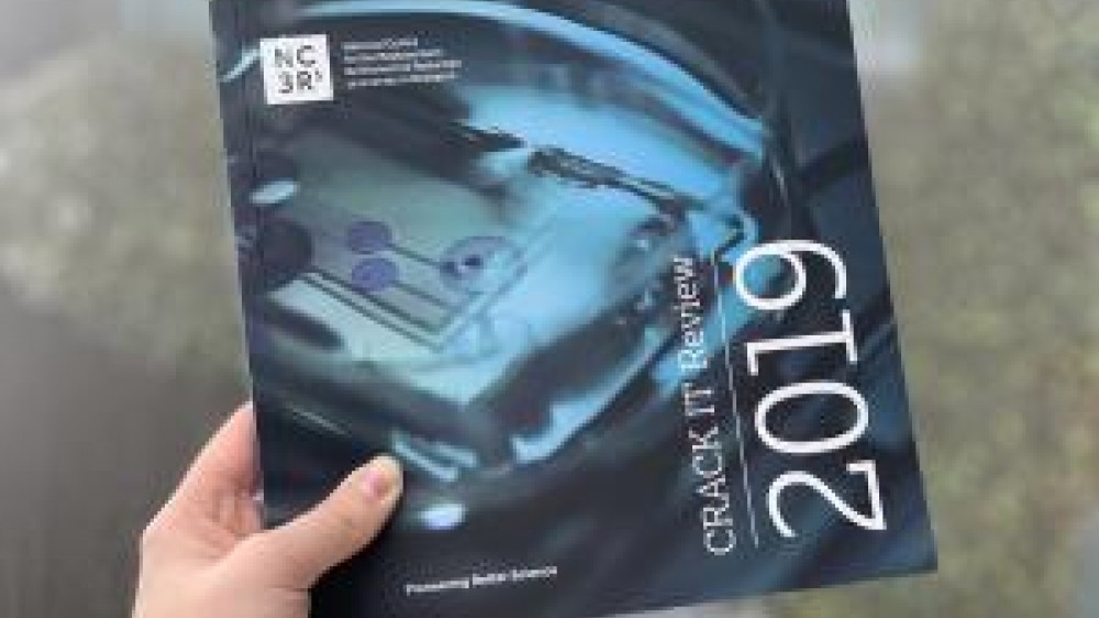 Publication of the CRACK IT Review 2019 