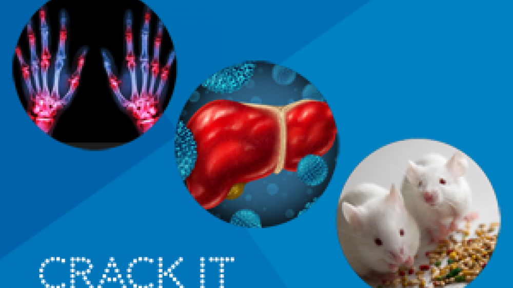CRACK IT promotion material consisting of an x-ray of hands, a graphic of a heart and two white mice