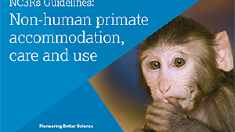 Guidelines cover for the non-human primate accommodation, care and use