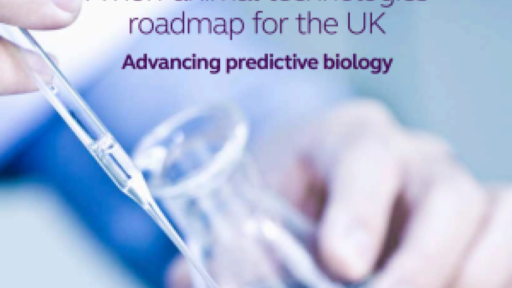 The publication front cover of a roadmap on non-animal technologies (NATs) 