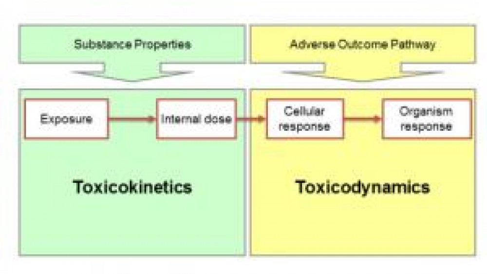 The graphic shows the approach uses toxicokinetic and toxicodynamic modelling and has successfully predicted toxic effects of chemicals on fish growth