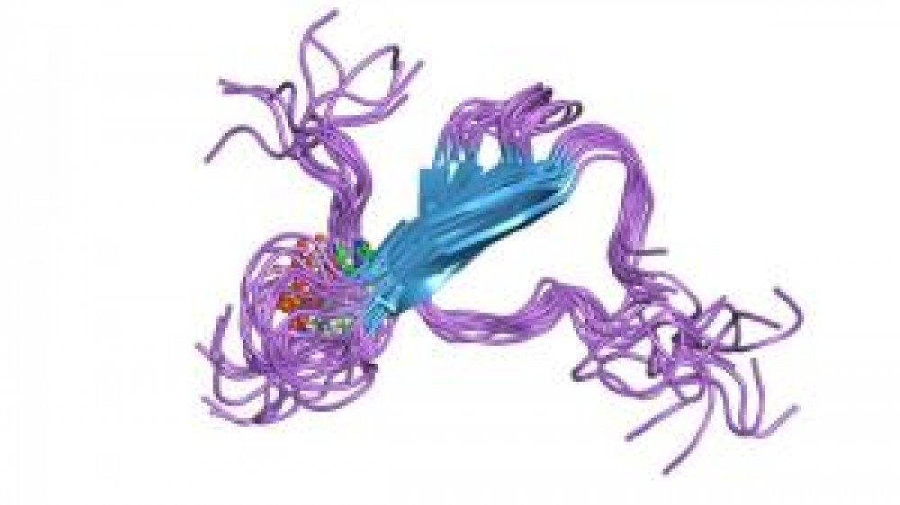 A graphic of a tau protein
