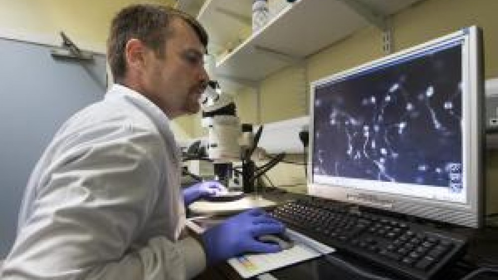 A laboratory technician working on a desktop computer