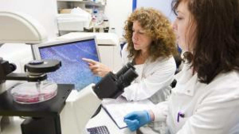 Two laboratory technicians sitting down looking at a screen. One of them is pointing at a screen