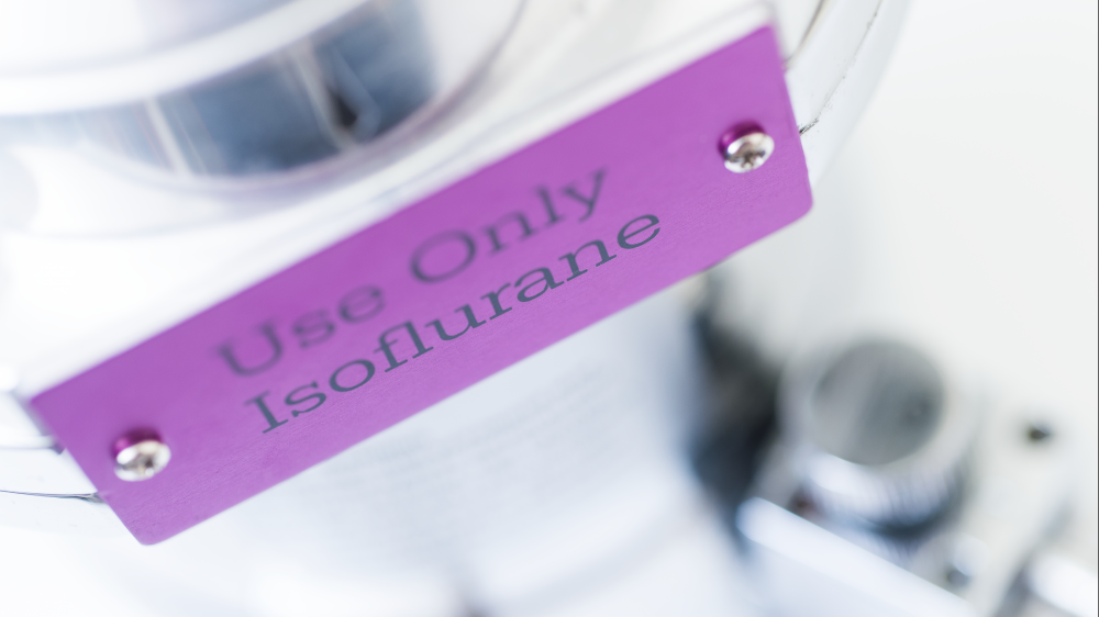 A tank with a purple label reading "Use Only Isoflurane".