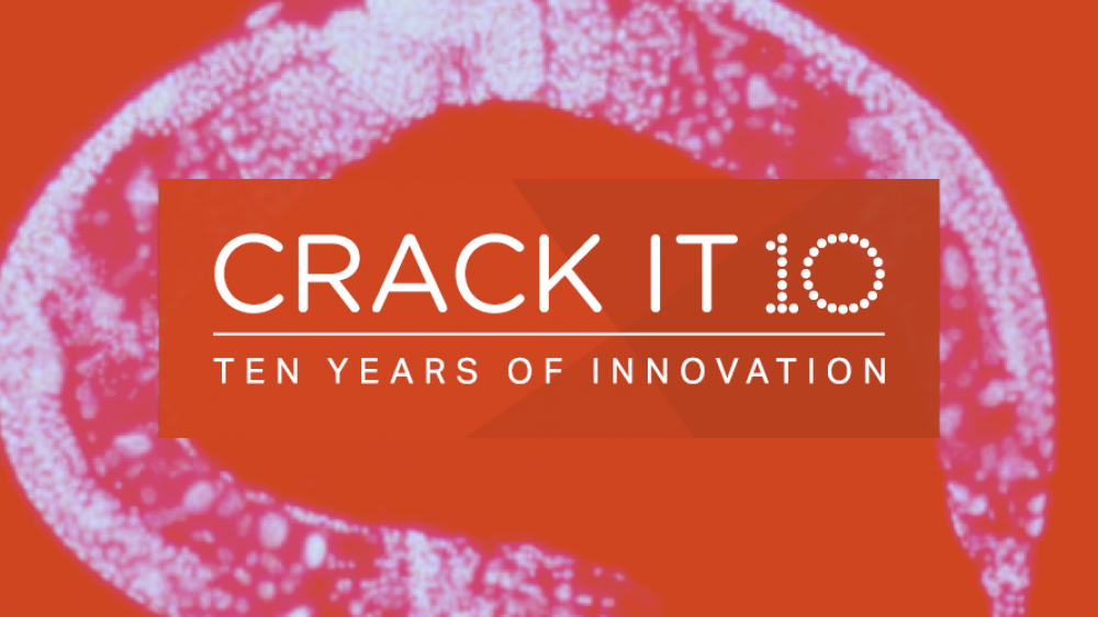 The CRACK IT 10 logo superimposed over a microscope image of an individual C elegans