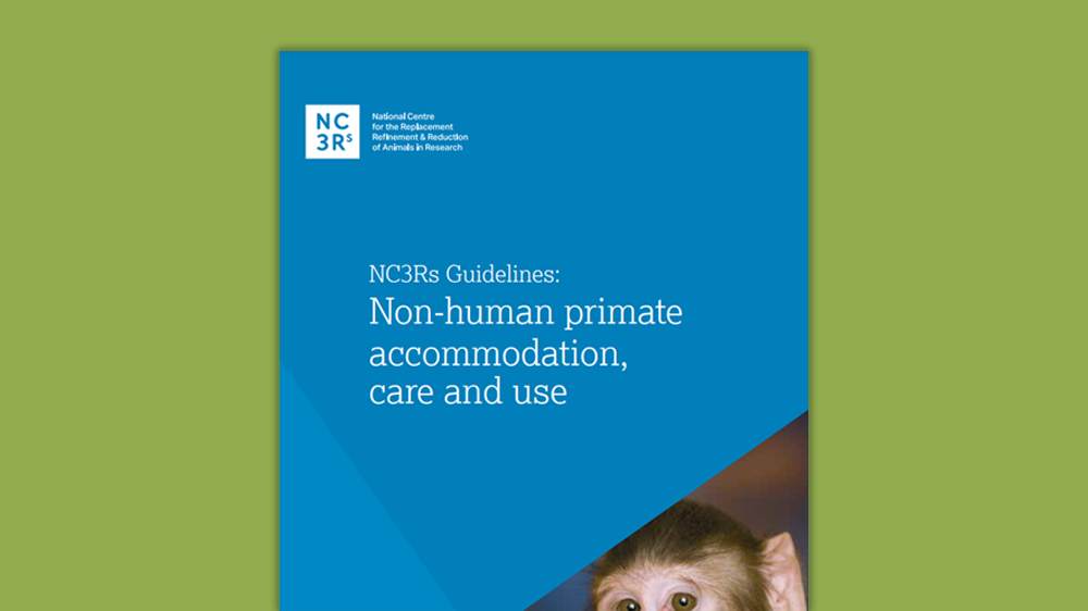 The front cover of the "Non-human primate accommodation, care and use guidelines" document on a green background.