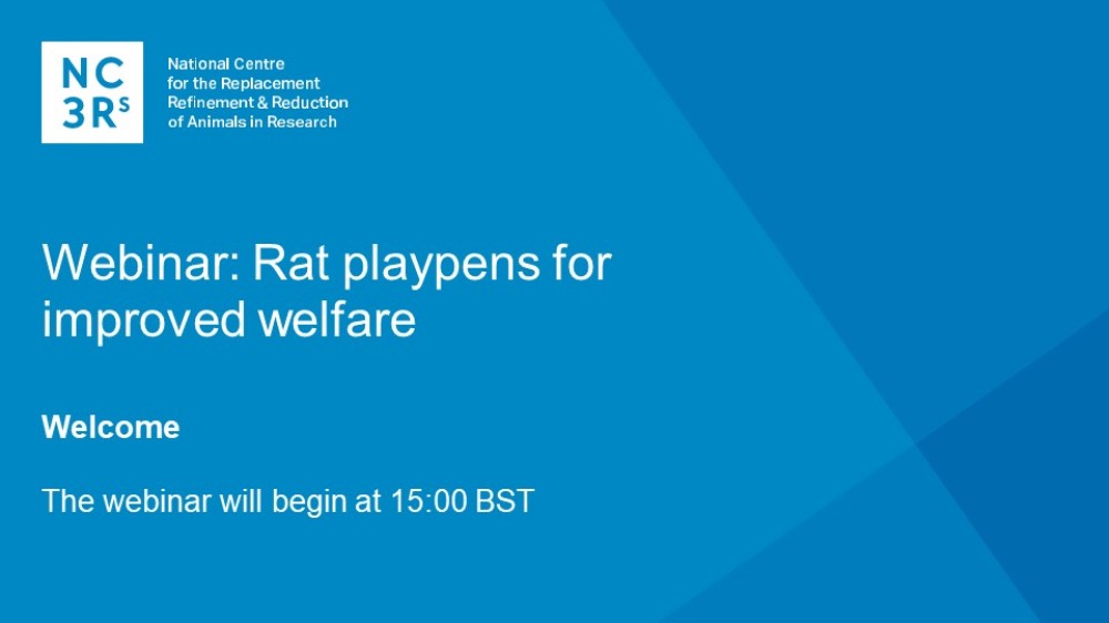 Webinar title slide: Rat playpens for improved welfare