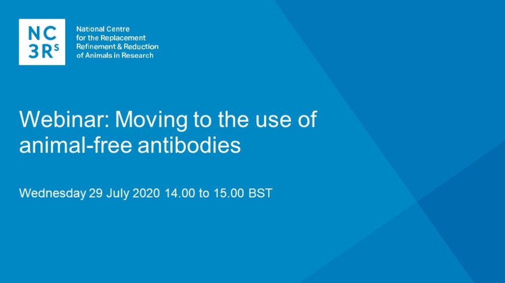 Webinar title slide: Moving to the use of animal-free antibodies