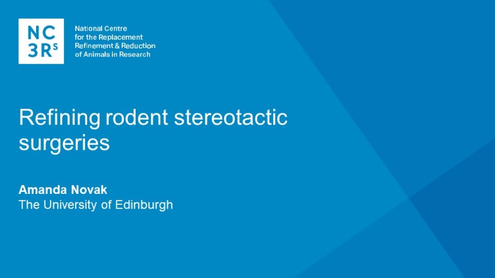Webinar title slide: Refining rodent stereotactic surgeries