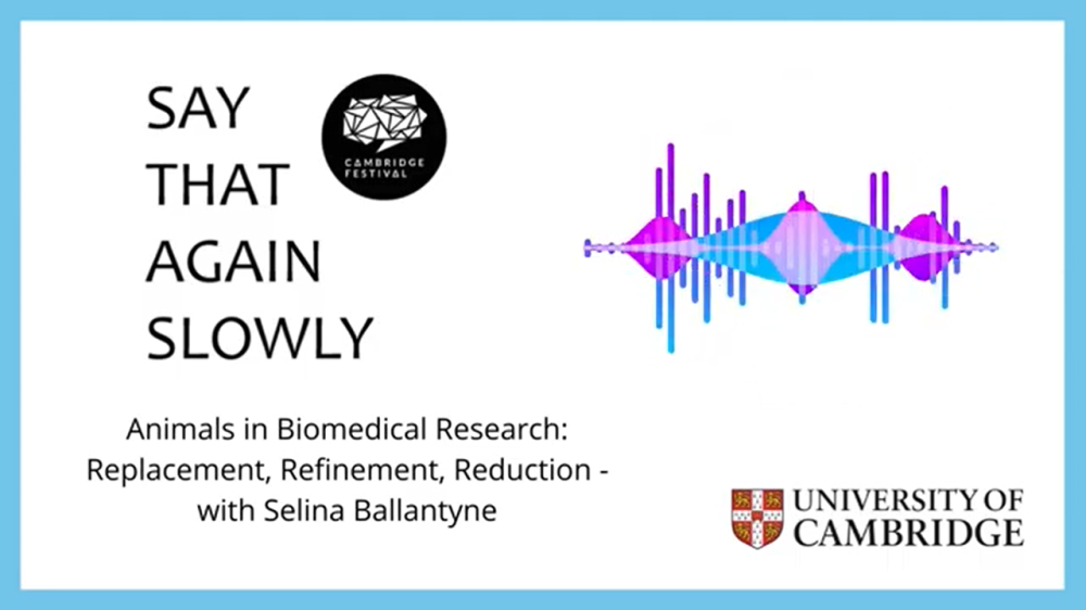 Cover image for the Say That Again Slowly podcast, depicting the University of Cambridge logo and a representation of sound waves