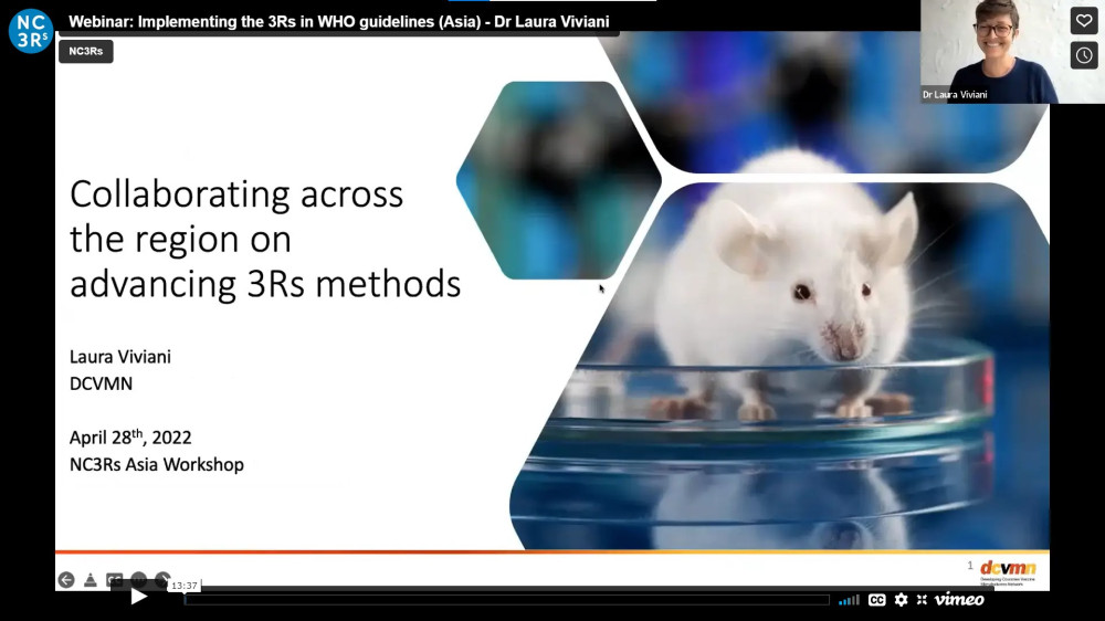 Title slide for Dr Laura Viviani's WHO Asia presentation