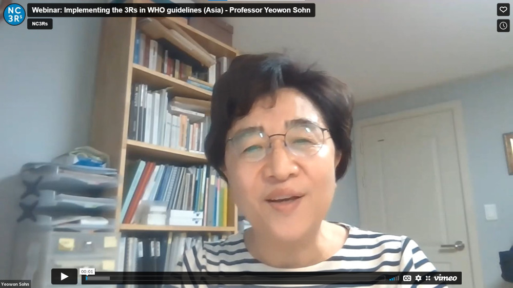 Screen grab of Professor Yeowon Sohn