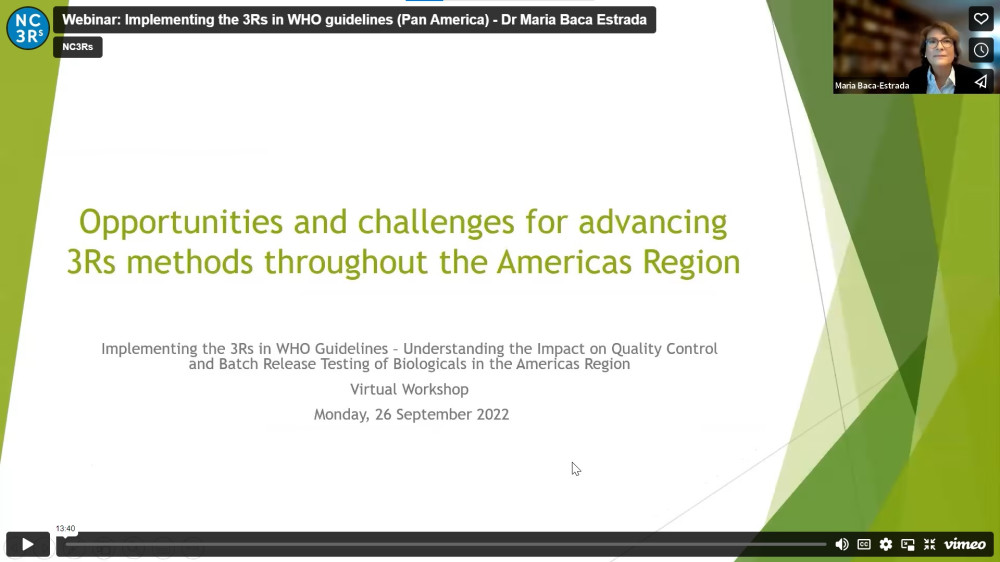 Screen grab of Maria Baca Estrada's presentation