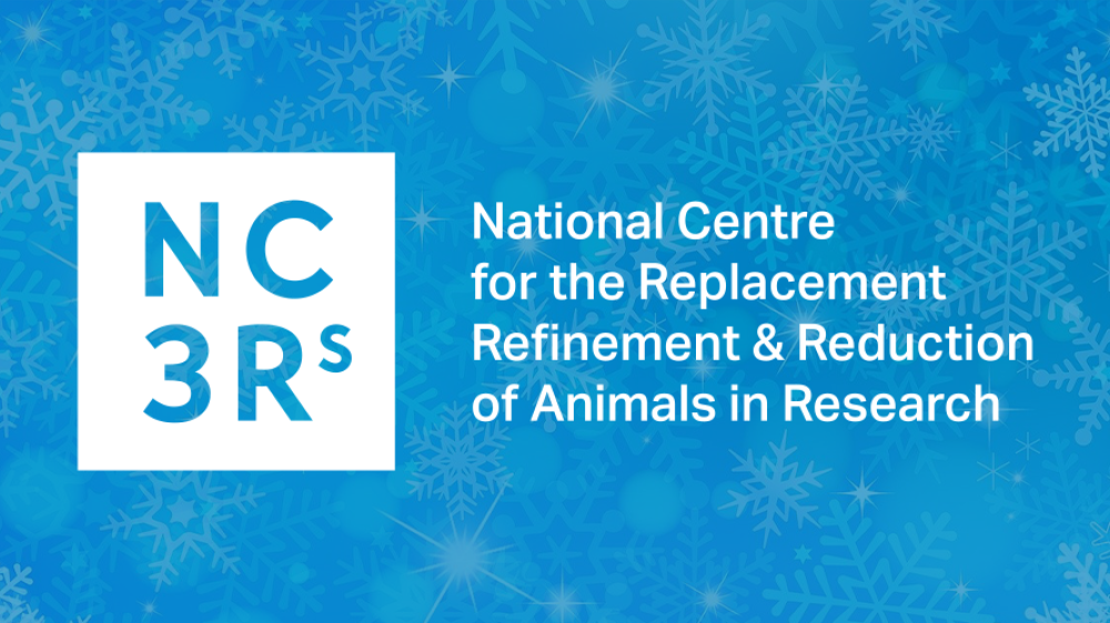 NC3Rs logo with snowflake background