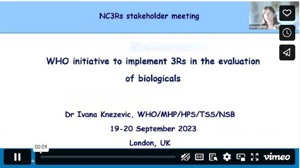 2023 WHO Workshop - Closing Panel, Feedback from WHO - Ivana Knezevic, WHO Norms and Standards for Biologicals