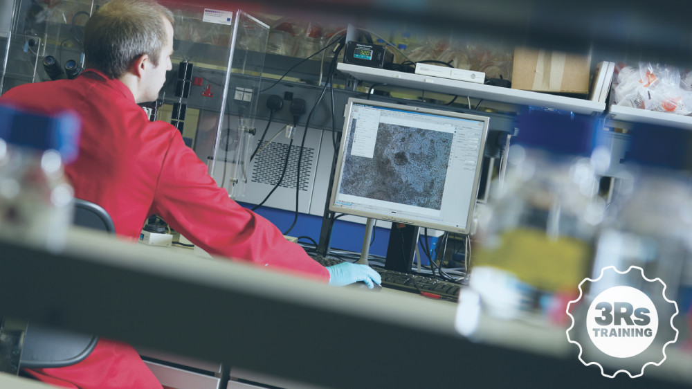 A scientist at work at a computer