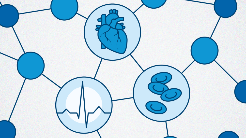 Graphic showing an anotomical heart, blood cells and ECG readout.