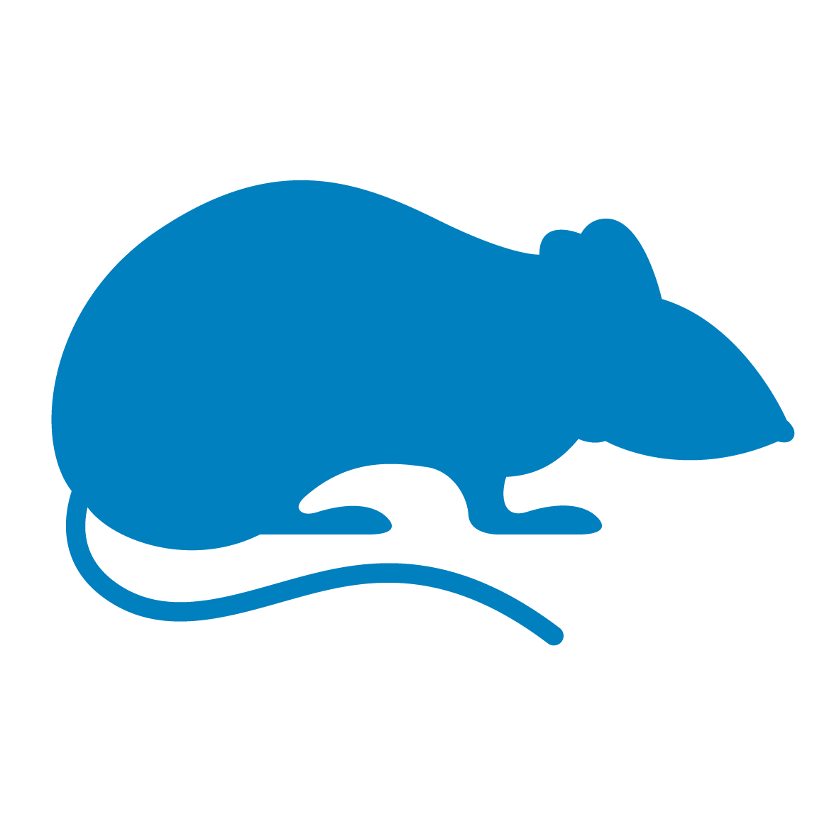A graphic of a mouse ultramartine