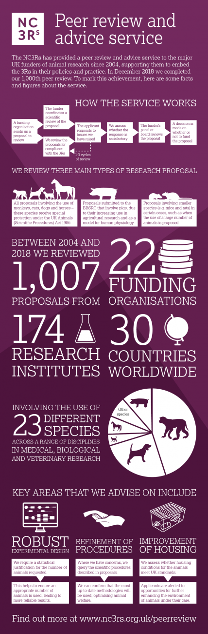 Peer-review and advice service infographic 