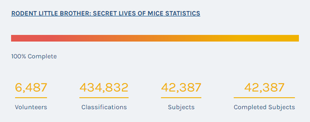 Secret lives of mice statistics