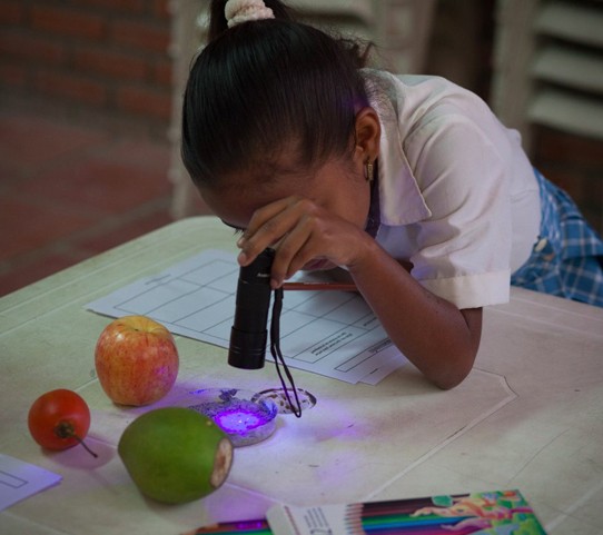 A child using using a special gel visible only under UV light. She is looking at how infections can spread among people and through unwashed fruit and vegetables