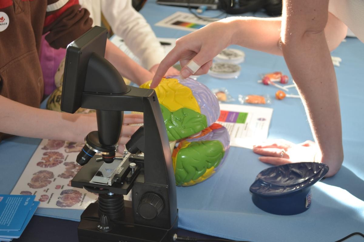A microscope at the NC3Rs exhibition stand 