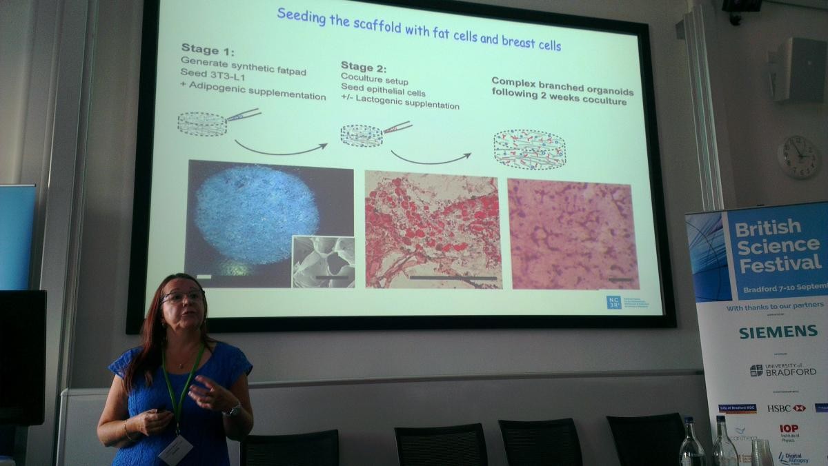 Professor Christine Watson from the University of Cambridge doing a presentation introducing us to a new 3D scaffold to model a breast in culture that her team developed to study breast cancer using fewer animals