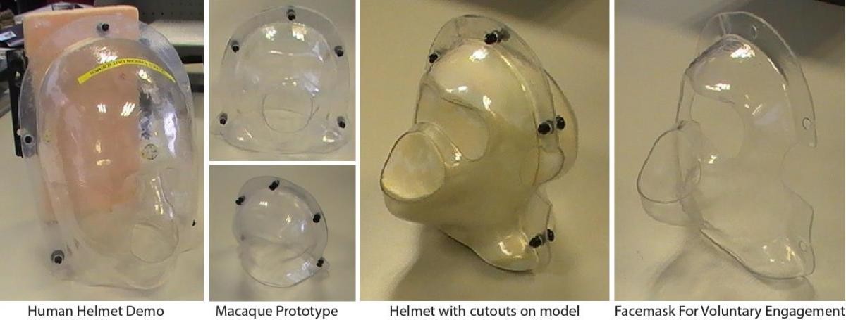 Five images of helmet devices that are made of see-through plastic with holes for eyes and ears, allowing presentation of visual and auditory stimuli for neurobiological studies. The helmets are labelled as human helmet demo, macaque prototype, helmet with cutouts on model and facemask for voluntary engagement