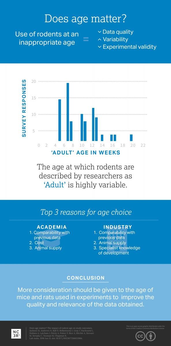 A rodent age infographic