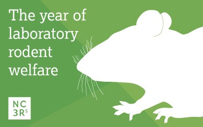 The year of the laboratory rodent welfare logo