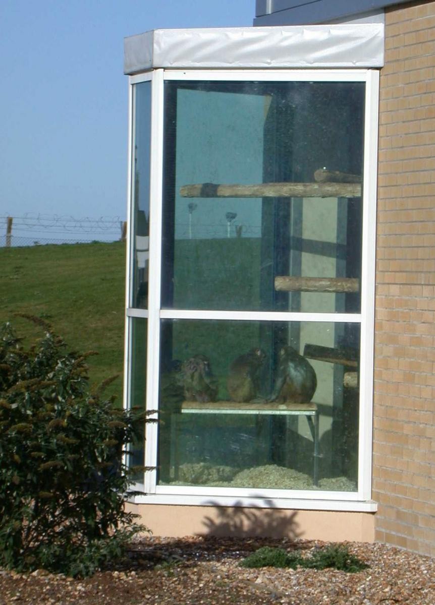 A bay window at a UK macaque facility. You can see macaque monkeys sitting on a ledge inside looking out of the window at the green fields and blue skies. 