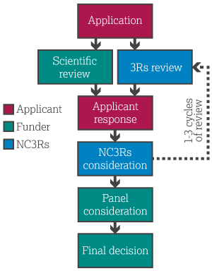Flow diagram of the stages of the NC3Rs peer review process