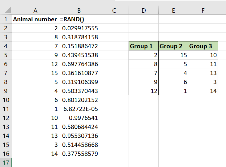 The final randomised list of animal numbers.