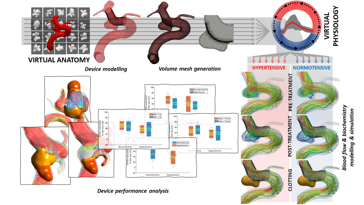 A graphical abstract of Frangi and Sarrami-Foroushani's in silico model.